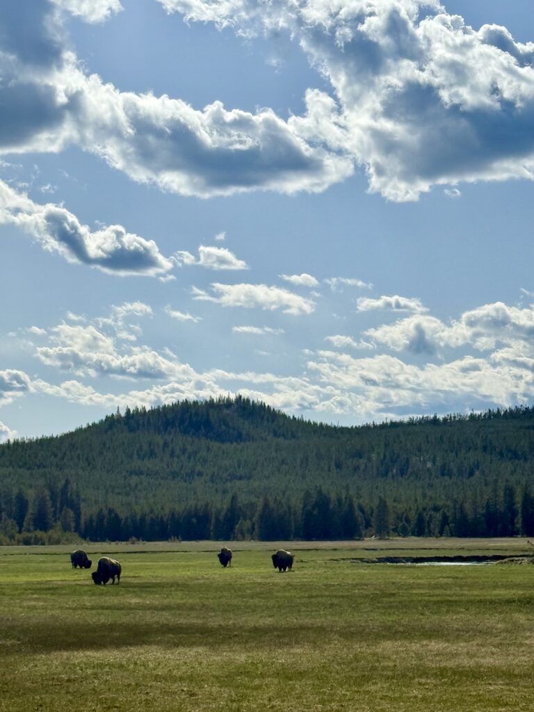 National Parks